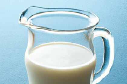 Crafting Perfect Horchata: A Refreshing Homemade Guide